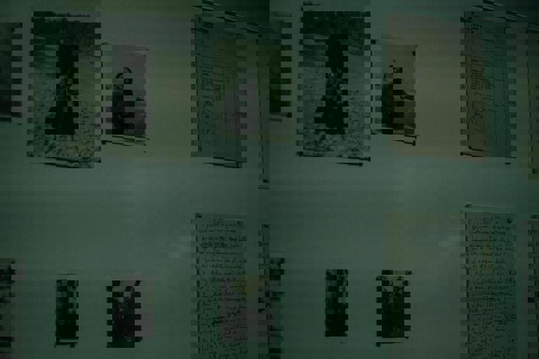 Pop-Up Historical Exhibit Brings Forgotten City Stories to Public Square